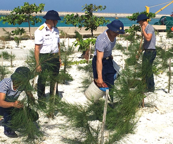 Truong Sa khong xa (Bai 2): Mam xanh, suc song Truong Sa - Anh 9