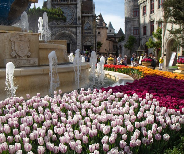 Du xuân cực chất tại thiên đường hoa tulip Sun World Ba Na Hills - Anh 2