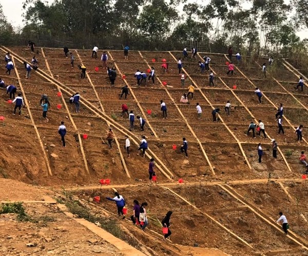 Trung ương Đoàn tổ chức Lễ phát động Tết trồng cây “Đời đời nhớ ơn Bác Hồ” - Anh 2