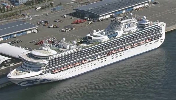 Tạm dừng hoạt động 40 tàu du lịch ở Hạ Long đón khách từ Diamond Princess để tiêu độc chống dịch - Anh 2