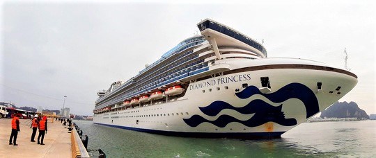 Tạm dừng hoạt động 40 tàu du lịch ở Hạ Long đón khách từ Diamond Princess để tiêu độc chống dịch - Anh 1