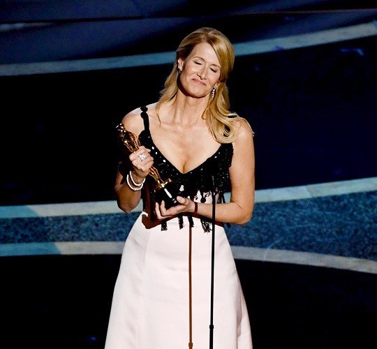 Toàn cảnh giải thưởng Oscar 2020 - Anh 2