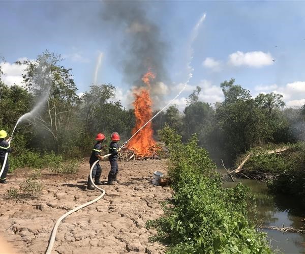 Cảnh báo cháy rừng Vườn chim Bạc Liêu cấp cực kỳ nguy hiểm - Anh 1