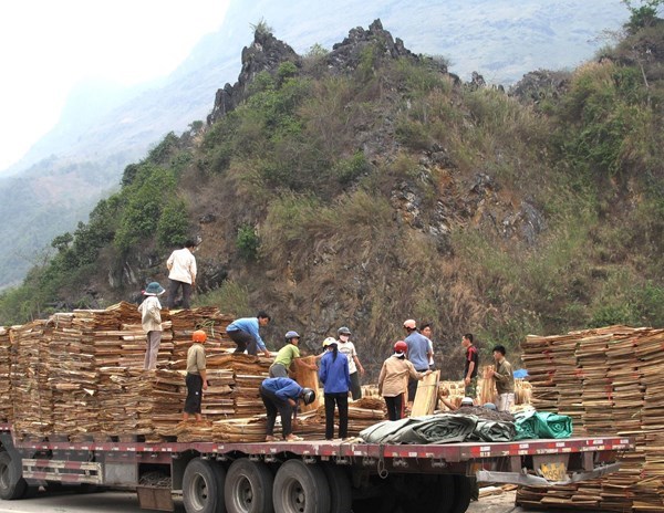 Cửa khẩu quốc tế Thanh Thủy xuất những lô hàng đầu tiên năm 2020 - Anh 1