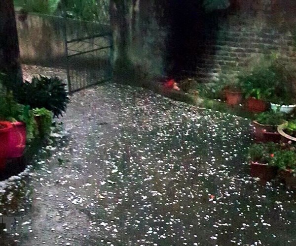 Mưa đá tại Lào Cai gây nhiều thiệt hại về hoa màu và nhà cửa - Anh 1