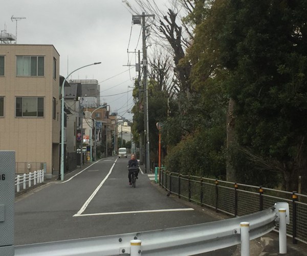 Nhật Bản lo ngại ổ dịch mới ở Tokyo - Anh 1