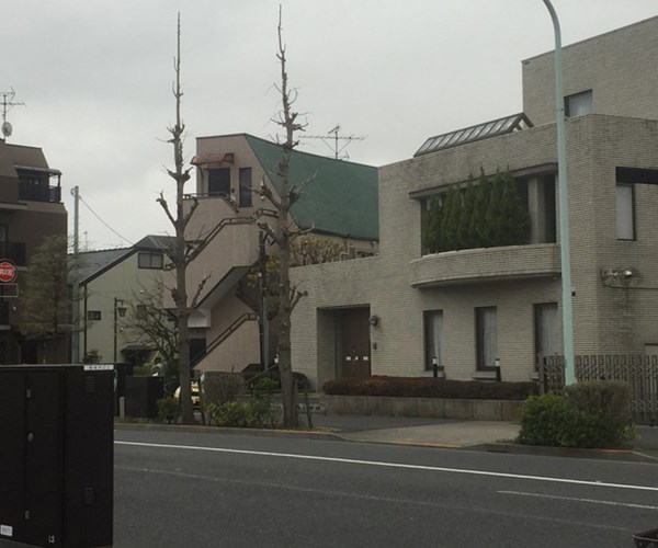 Nhật Bản lo ngại ổ dịch mới ở Tokyo - Anh 2