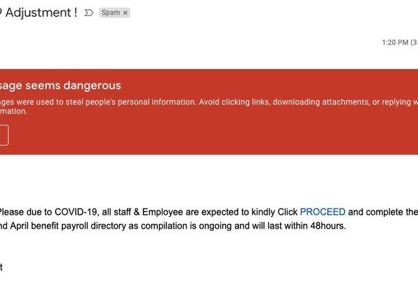 Người dùng đang nhận hàng chục triệu email độc hại về Covid-19 - Anh 2