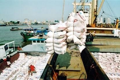 Kết luận của Phó Thủ tướng về việc xuất khẩu gạo - Anh 1
