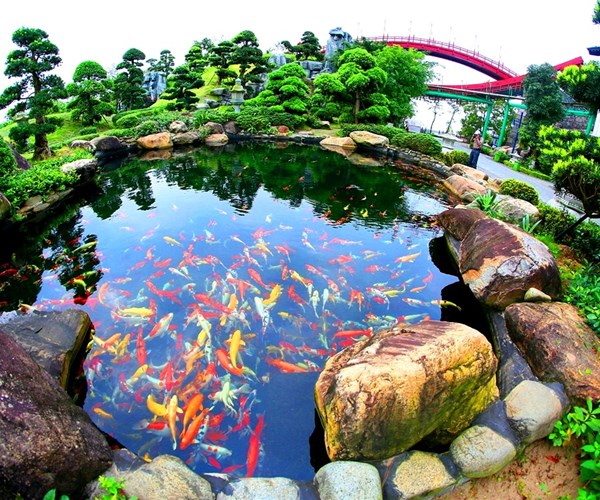 Quảng Ninh tung ra nhiều chương trình kích cầu để phục hồi du lịch - Anh 1
