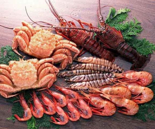 7 thực phẩm không nên quay trong lò vi sóng - Anh 7