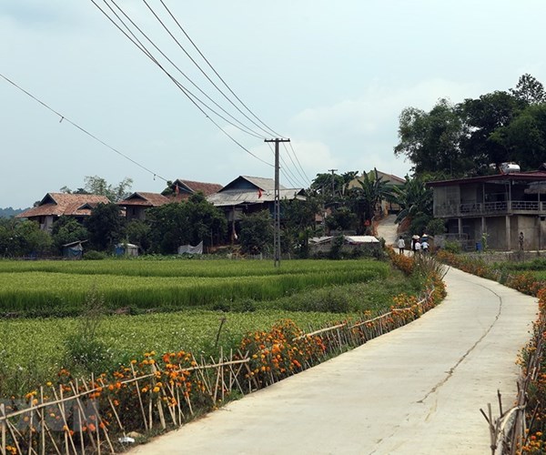 Vùng căn cứ địa cách mạng Mường Phăng-Điện Biên hôm nay - Anh 3