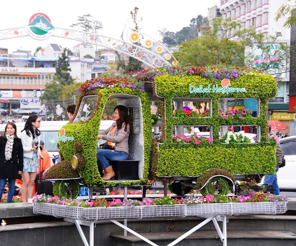 Hoa Đà Lạt - Kết tinh kỳ diệu từ đất lành - Anh 2