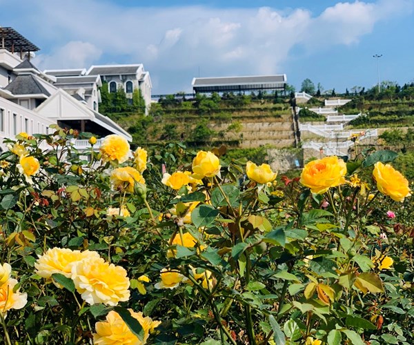 Đi Sa Pa chưa bao giờ đẹp và rẻ như thế! - Anh 3