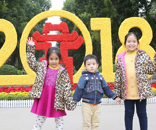 Hà Nội sôi động đón năm mới - Anh 1