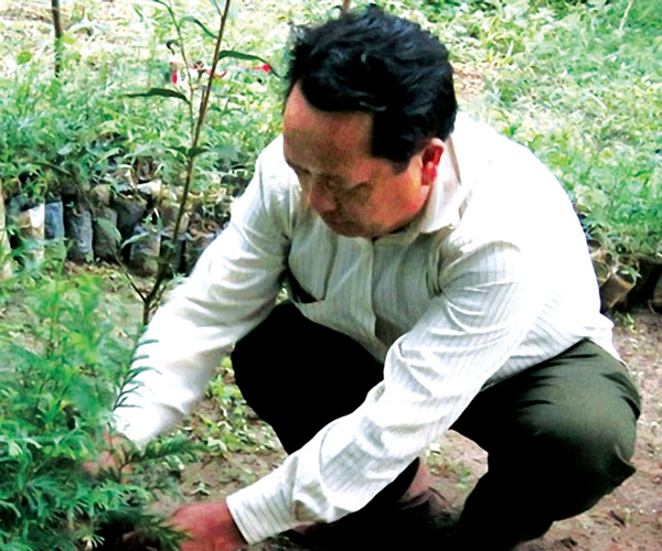 Đất hoang đã trở thành rừng pơ mu, sa mu - Anh 2