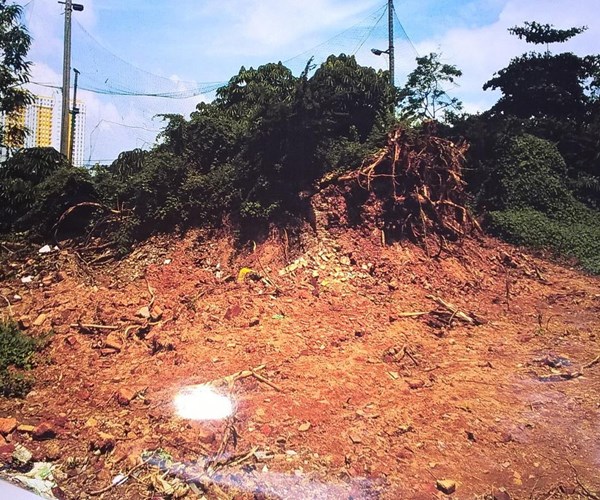 Lò gốm Hưng Lợi (TP.HCM): Ai dám nói đây là di tích? - Anh 1