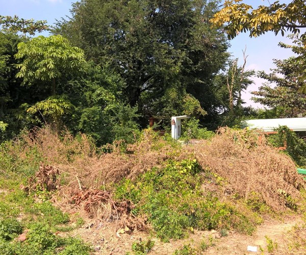 Lò gốm Hưng Lợi (TP.HCM): Ai dám nói đây là di tích? - Anh 5