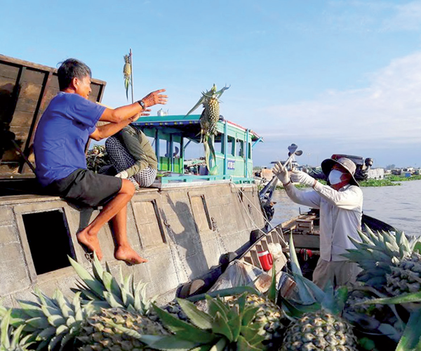 Mênh mang sông Hậu chiều cuối năm - Anh 1