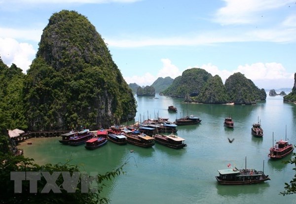 Quảng Ninh: Đồng hành cùng doanh nghiệp đưa du lịch sớm hoạt động trở lại - Anh 1