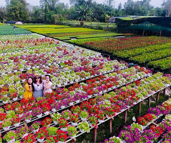 Làng nghề rộn ràng đón khách chơi Tết - Anh 1