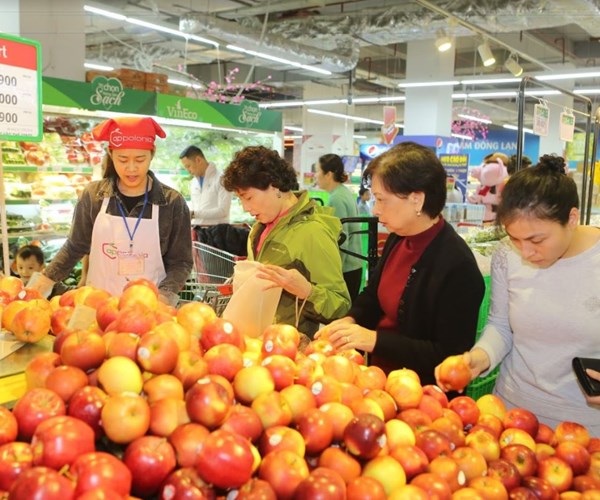 VINMART HO TRO DIA DIEM BAN HOA – CAY CANH TET - Anh 2