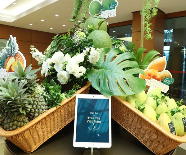 Thủ tướng tham quan Triển lãm Bản đồ trái cây Việt Nam - Anh 8