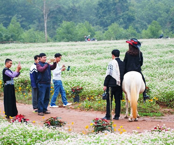 Thu hút khách du lịch bằng... hoa - Anh 2