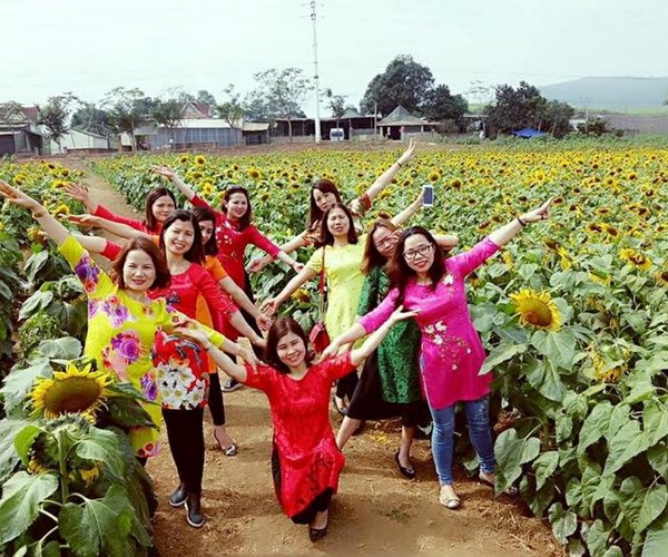 Thu hút khách du lịch bằng... hoa - Anh 1