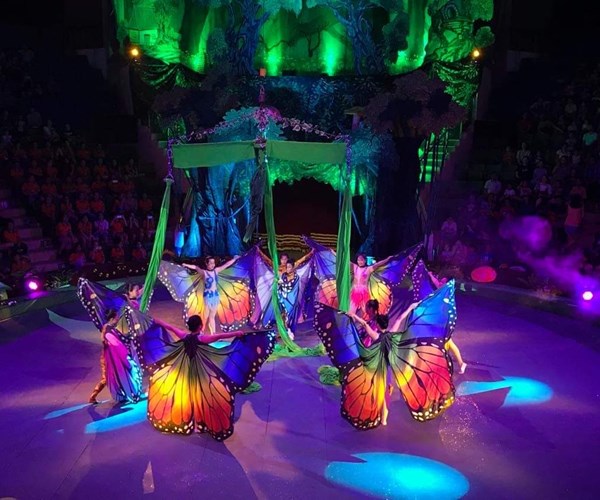 “Kho báu rừng xanh”: Show diễn đặc biệt của xiếc - Anh 2