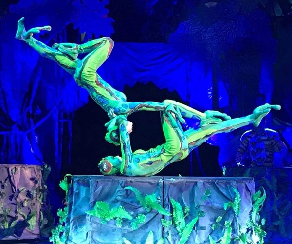 “Kho báu rừng xanh”: Show diễn đặc biệt của xiếc - Anh 4