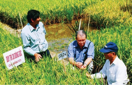 “Nông dân đổi mới” như thế nào? - Anh 1