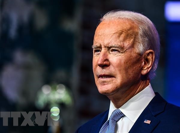 Ông Joe Biden kêu gọi đoàn kết để đối phó với đại dịch Covid-19 - Anh 1