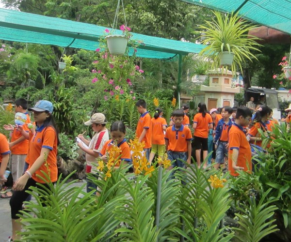 TP.HCM: Chấn chỉnh các hoạt động trải nghiệm - Anh 1