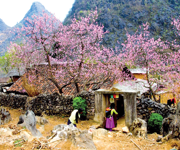 Giữa cao nguyên đá, thấy Tổ quốc mình còn đẹp hơn tranh - Anh 2