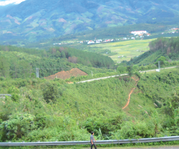 Thăm “Rừng xà nu” - Anh 1