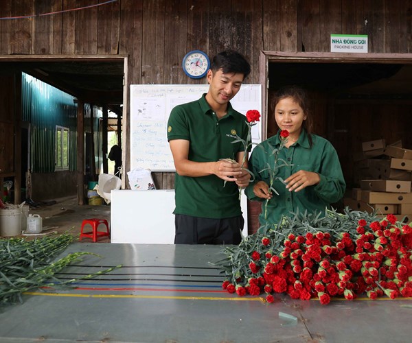 Những nông dân... ngoại quốc - Anh 3