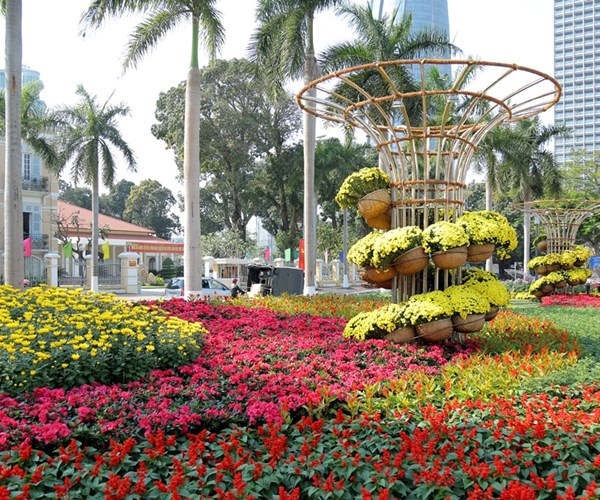 Sông Hàn Tết này đẹp lộng lẫy với con đường hoa Xuân sắc màu - Anh 3