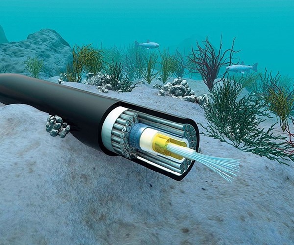 Sự cố cáp quang biển IA, APG: Sẽ phải mất vài tuần để khắc phục - Anh 1