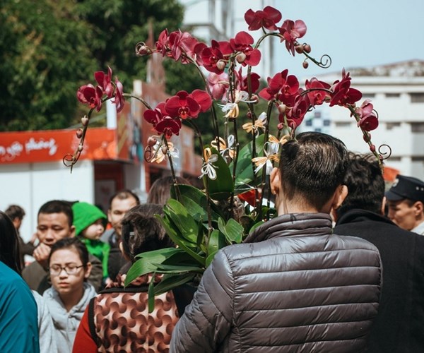 Những phiên chợ gọi Tết về giữa phố - Anh 7