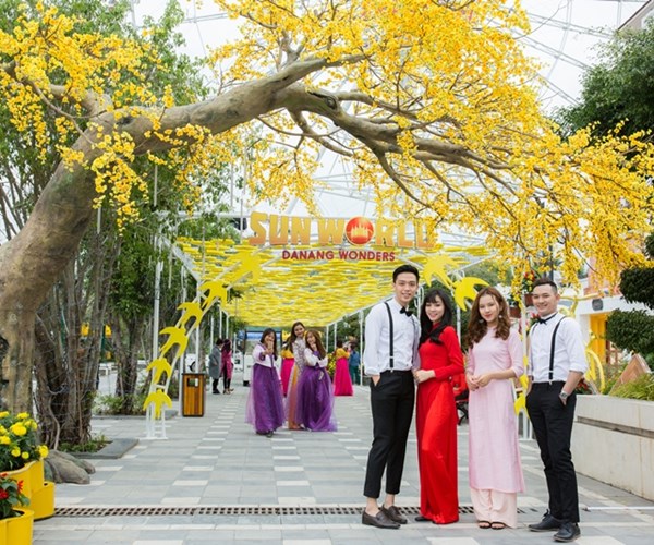 “Vườn mai vàng rực” bung nở trong lễ hội “Mai vàng sắc xuân” Sun World Danang Wonders - Anh 1