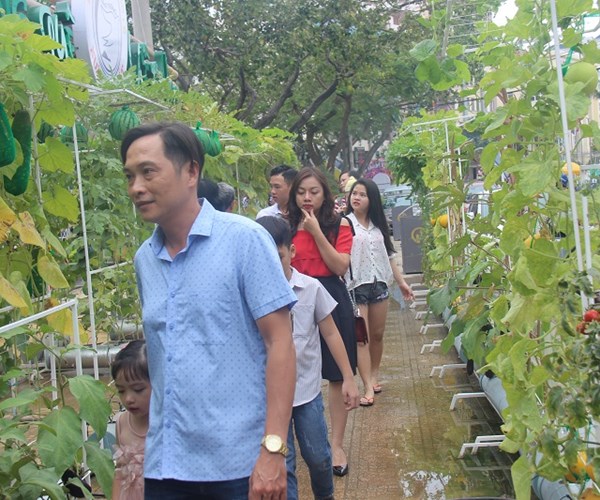 Khánh Hòa đón 190.000 lượt du khách trong 2 ngày Tết Mậu Tuất - Anh 4