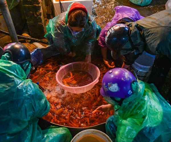Chợ cá chép đỏ lớn nhất miền Bắc nhộn nhịp trước Tết ông Công, ông Táo - Anh 8