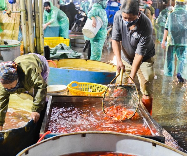 Chợ cá chép đỏ lớn nhất miền Bắc nhộn nhịp trước Tết ông Công, ông Táo - Anh 7