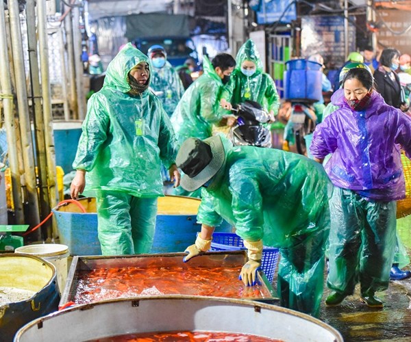 Chợ cá chép đỏ lớn nhất miền Bắc nhộn nhịp trước Tết ông Công, ông Táo - Anh 2