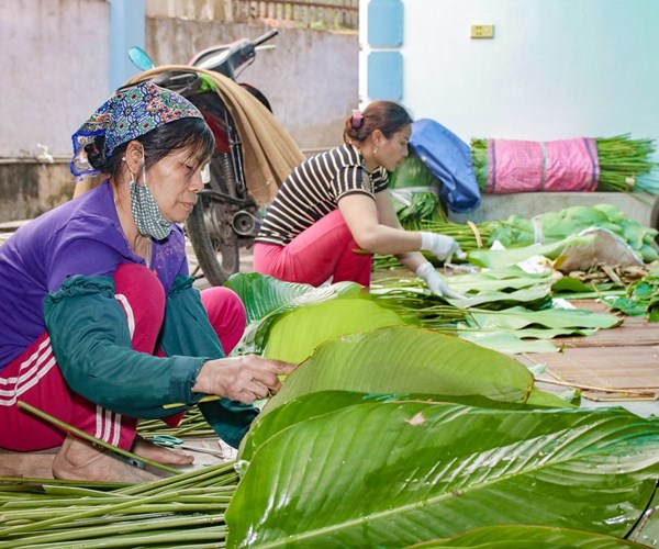 Người dân Trảng Cát hối hả thu hoạch lá dong đón Tết - Anh 3