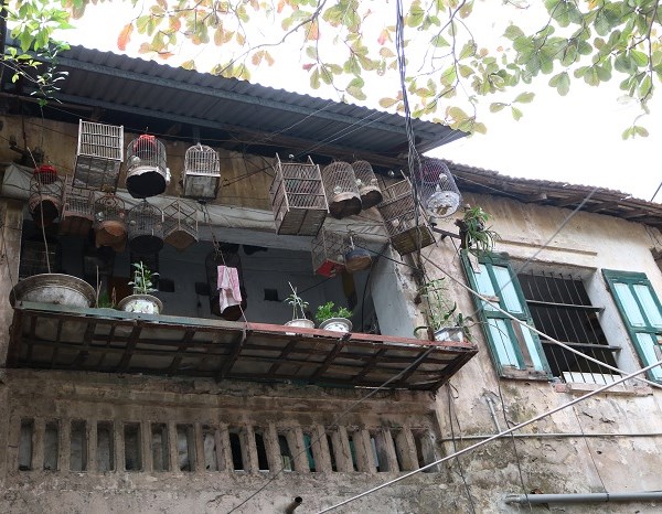 Những ngày cuối năm trong phố cổ Nam Định - Anh 7