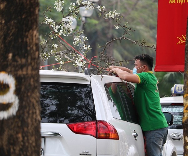 Hoa lê trắng xuống phố, người dân háo hức tìm mua - Anh 11