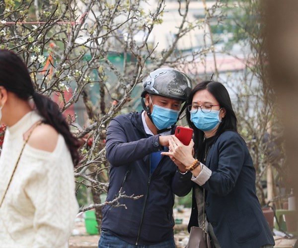 Hoa lê trắng xuống phố, người dân háo hức tìm mua - Anh 7