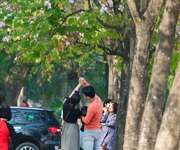 Sắc hoa Tây Bắc nở rộ giữa lòng Hà Nội - Anh 7